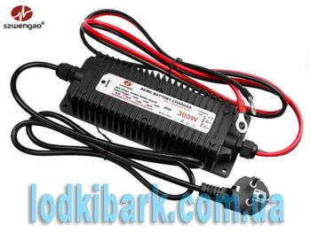 Зарядка WG-24C300S Szwengao импульсная для литий-железо фосфатных аккумуляторов